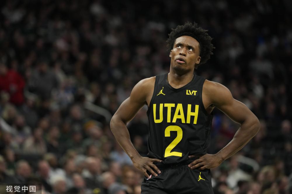 他们不仅是 他们不仅是